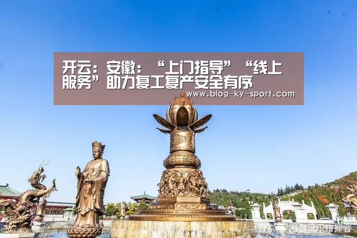 开云:安徽:“上门指导”“线上服务”助力复工复产安全有序(图3) 开云体育